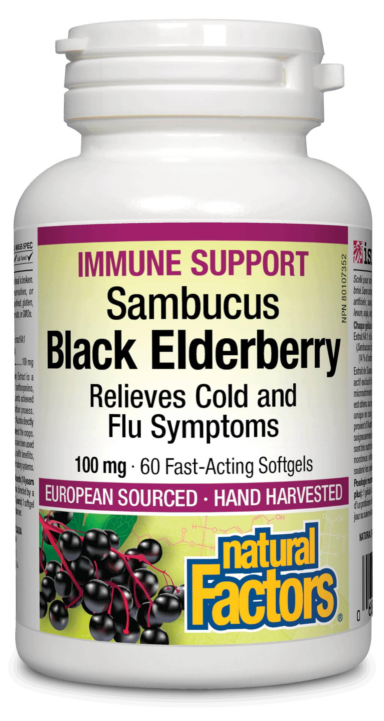 Natural Factors - Black Elderberry