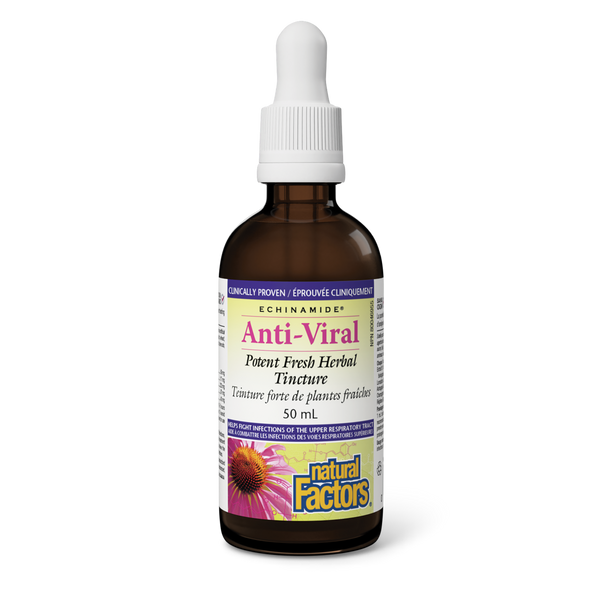 Natural Factors - Echinamide Anti-Viral