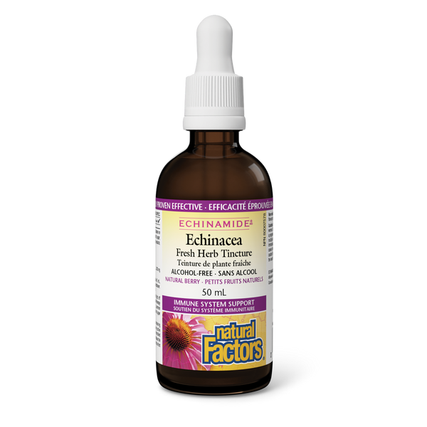 Natural Factors - Echinamide Echinacea - Alcohol-Free - Natural Berry