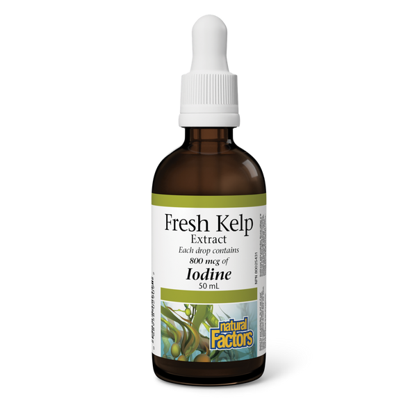 Natural Factors - Fresh Kelp Extract