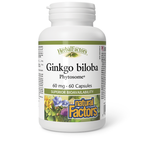 Natural Factors - Ginkgo Biloba Phytosome