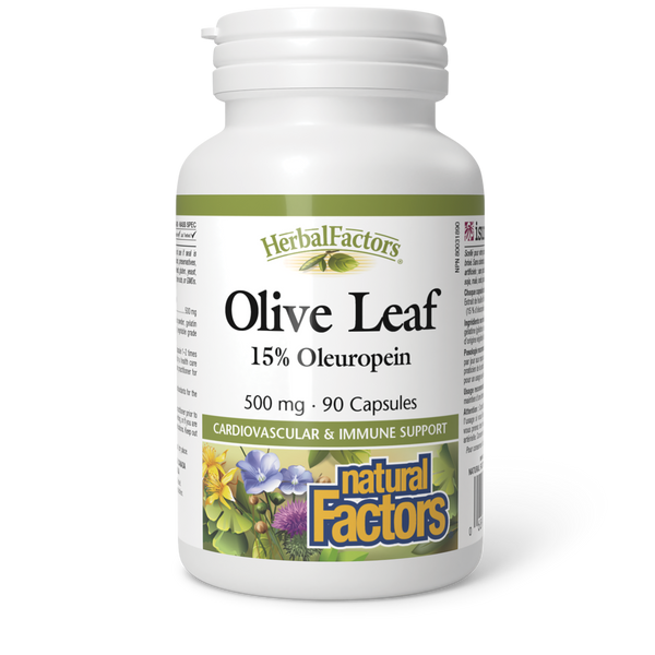 Natural Factors - Olive Leaf
