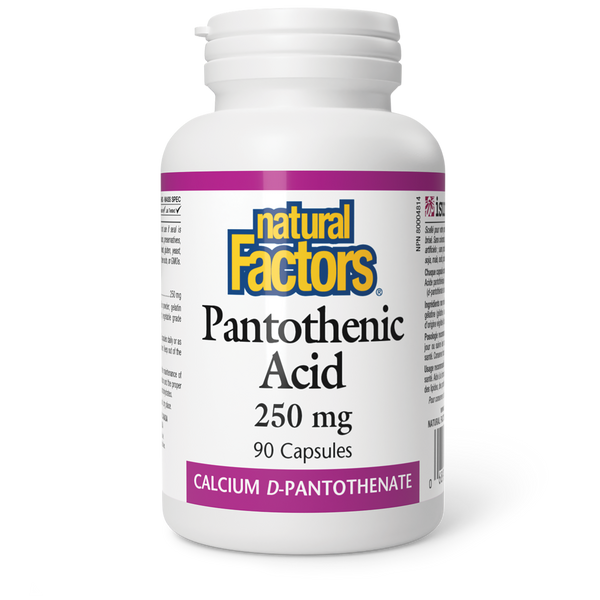Natural Factors - Pantothenic Acid - 250 mg