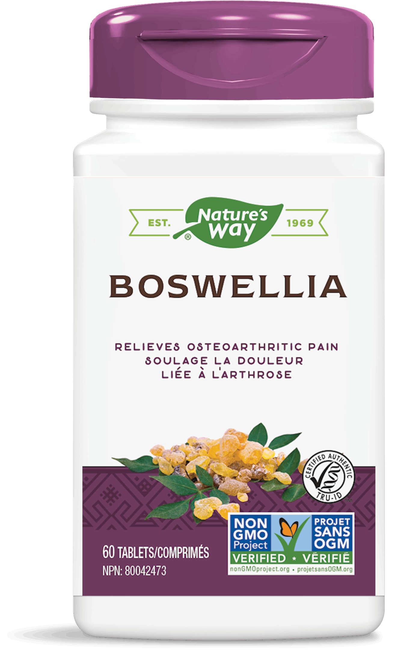 Nature's Way - Boswellia