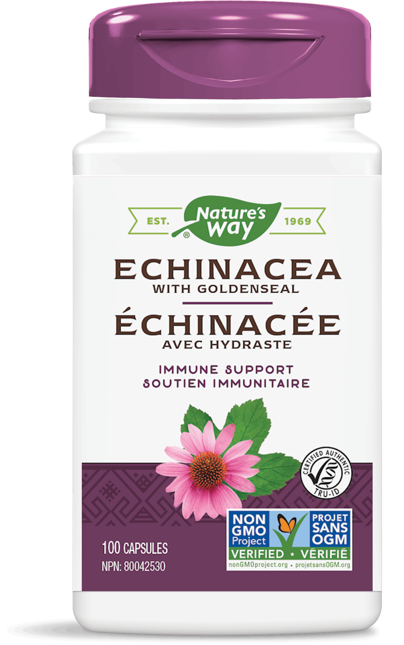 Nature's Way - Echinacea w/Goldenseal