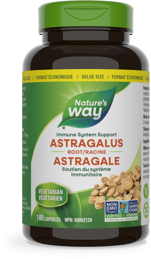 Nature's Way - Astragalus Root